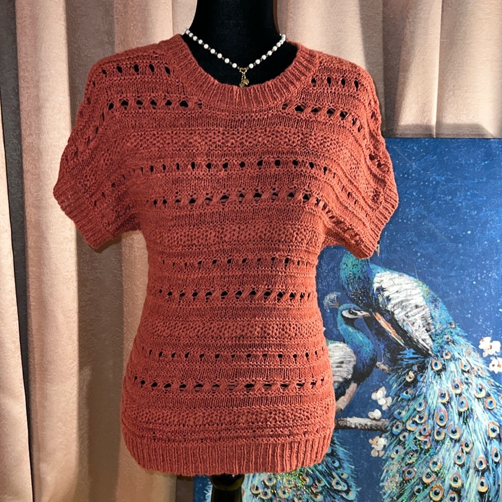 Architect Size PS Short Sleeve Coral Sweater